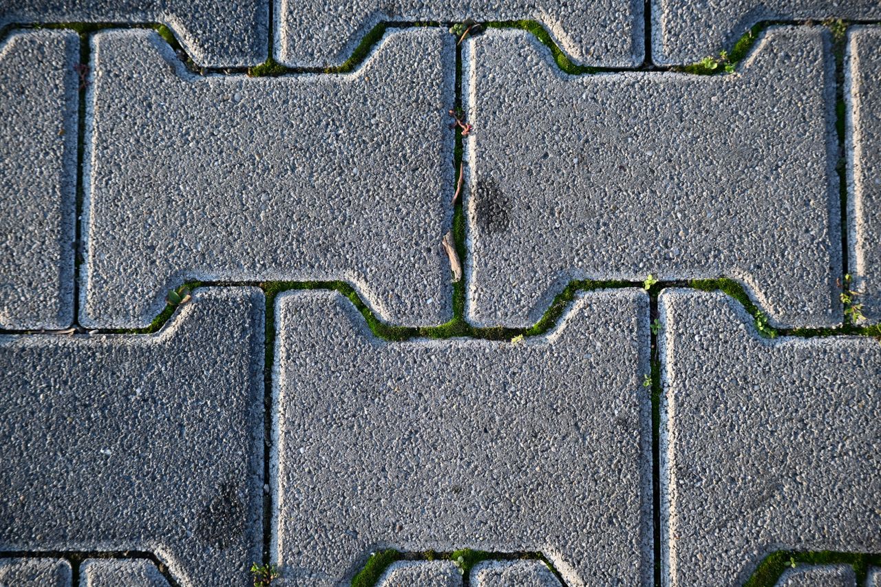 Close-up view of a grey brick walkway with moss growing in between the bricks.